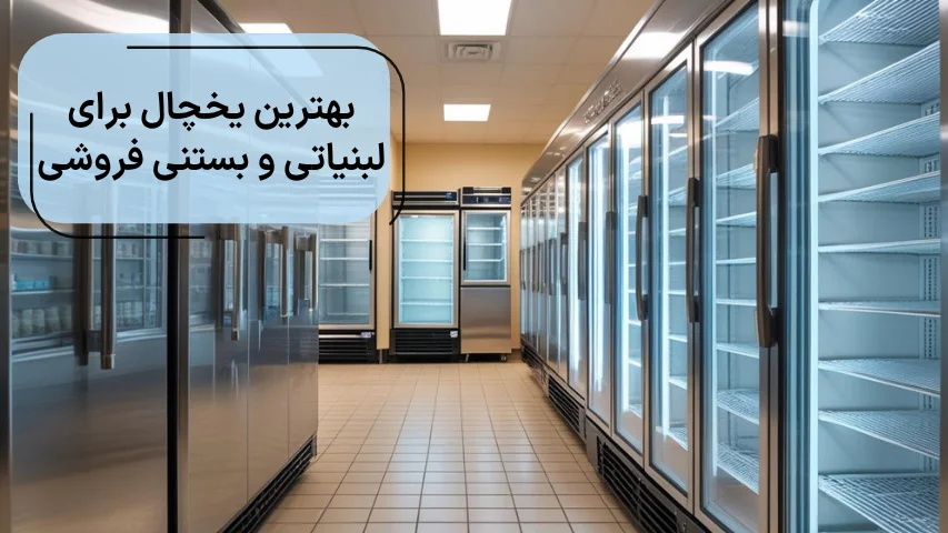 بهترین یخچال برای لبنیاتی و بستنی فروشی