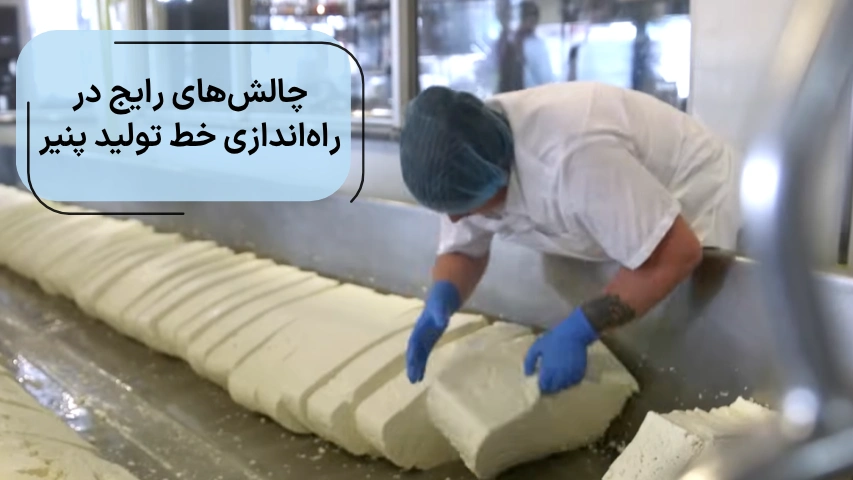 چالش های رایج در راه اندازی خط تولید پنیر لیقوان