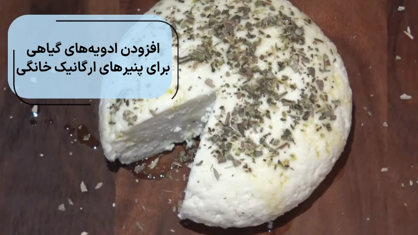 تصویری از ادیوه روی پنیر برای افزودن ادویه گیاهی در پنیر خانگی