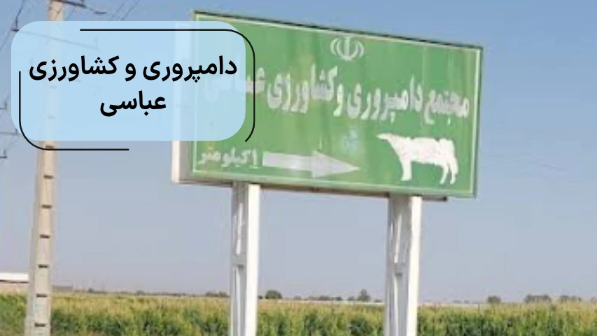 دامپروری و کشاورزی عباسی