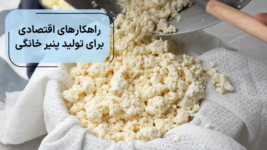 راهکارهای اقتصادی برای تولید پنیر خانگی