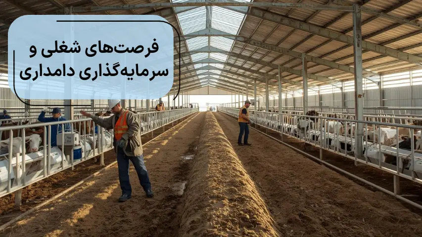 فرصت های شغلی و سرمایه گذاری دامداری قزوین