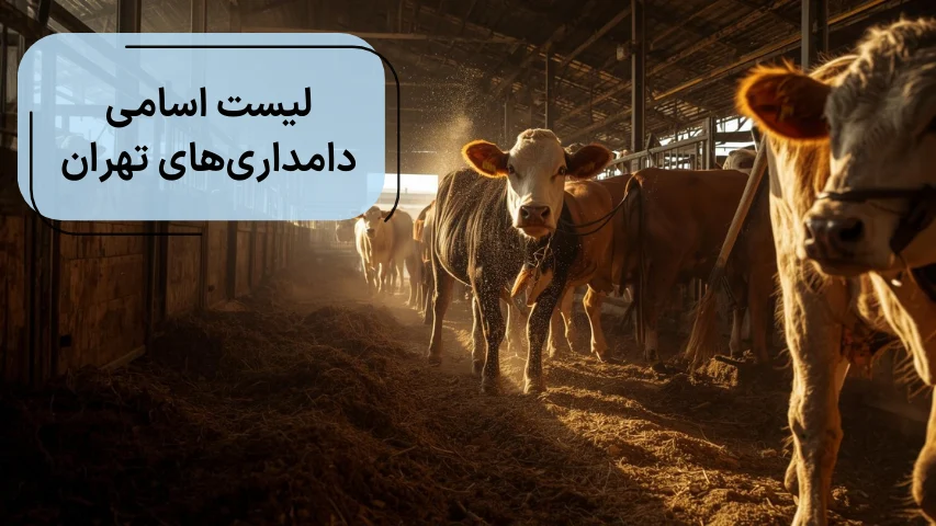 لیست اسامی دامداری های تهران