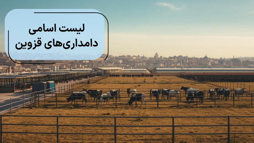 لیست اسامی دامداری های قزوین