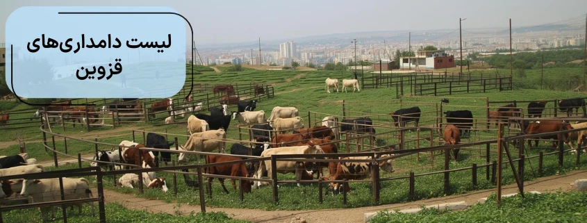لیست دامداری های قزوین