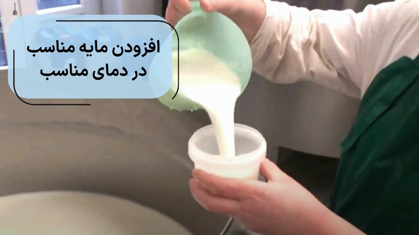 افزودن مایه ماست در دمای مناسب