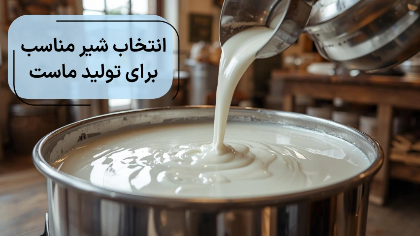 انتخاب شیر مناسب برای تولید ماست