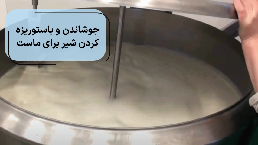 جوشاندن و پاستوریزه کردن شیر برای ماست