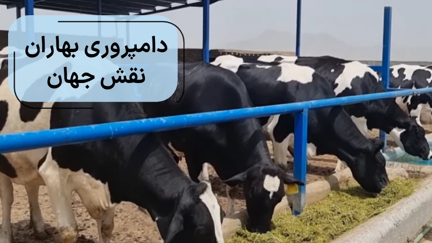 دامپروری بهاران نقش جهان