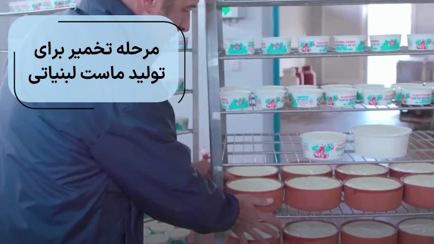 مرحله تخمیر برای تولید ماست لبنیاتی