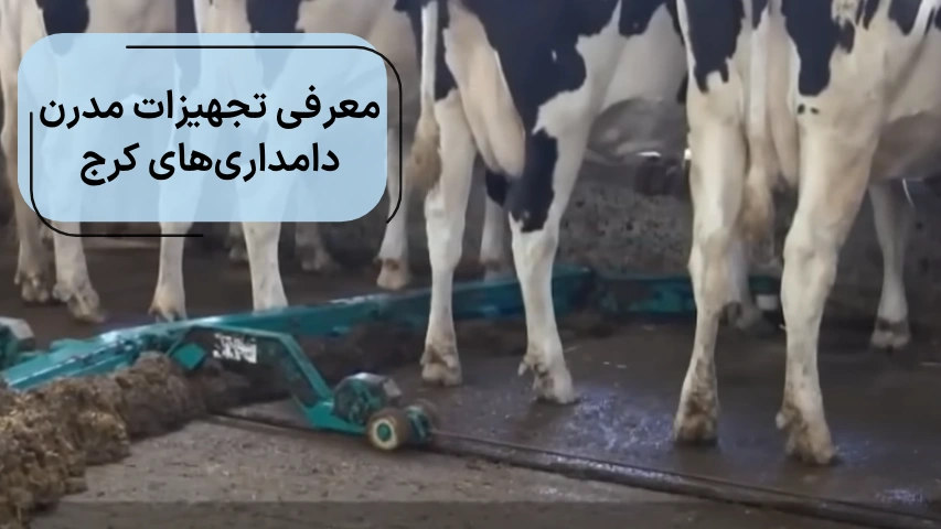 معرفی تجهیزات مدرن دامداری های کرج