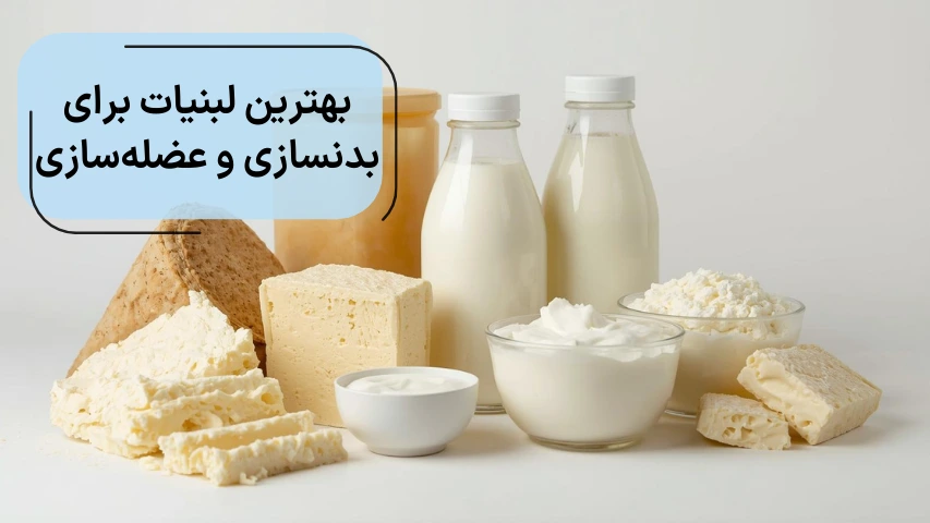 تصویری از چنئ نوع لبنیات کنار هم برای انتخاب بهترین لبنیات برای بدنسازی و عضله سازی