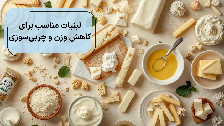 تصویر چند نوع لبنیات، مناسب برای کاهش وزن و چربی سوزی