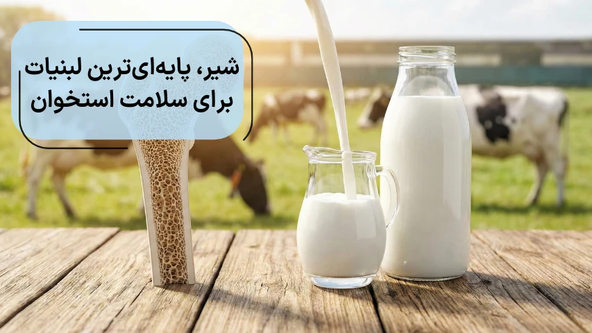 تصویری از یک بطری شیر در کنار تصویری از برش مقطعی استخوان