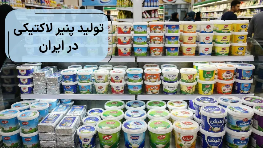 تصویری از یک فروشگاه که انواع پنیر و پمیر لاکتیکی می‌فروشد