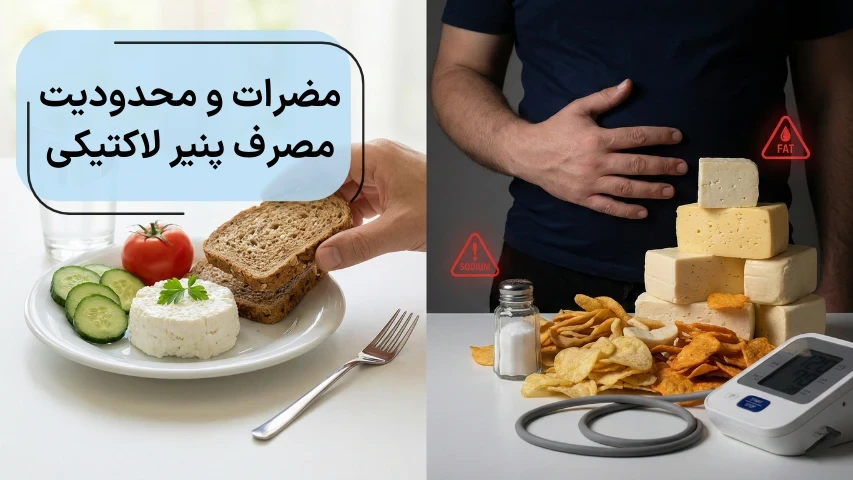 تصویری از مقایسه‌ی مصرف پنیرهای چرب و پنیر لاکتیکی