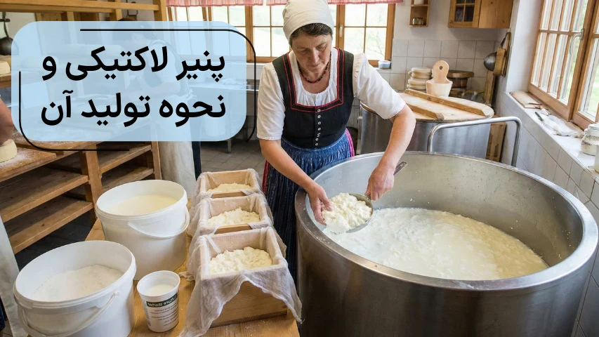 تصویری از یک خانم در حال تولید پنیر لاکتیکی