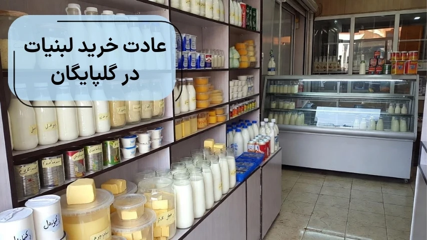 عادت خرید لبنیات تازه در گلپایگان