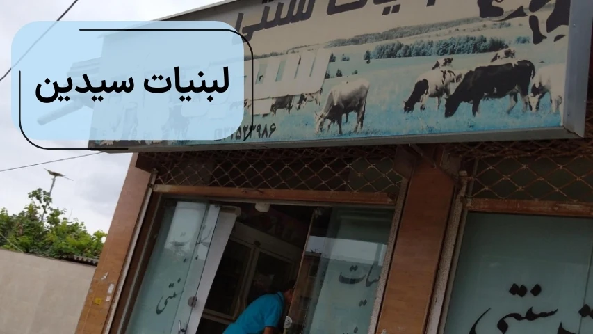 لبنیات سیدین